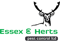 Essex & Herts Pest Control
